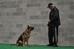 DSC_5579