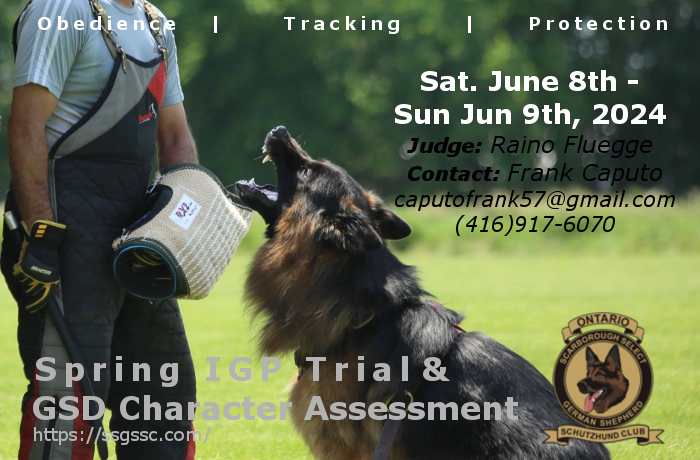 2024 IGP Club Trial & GSD Character Assessment